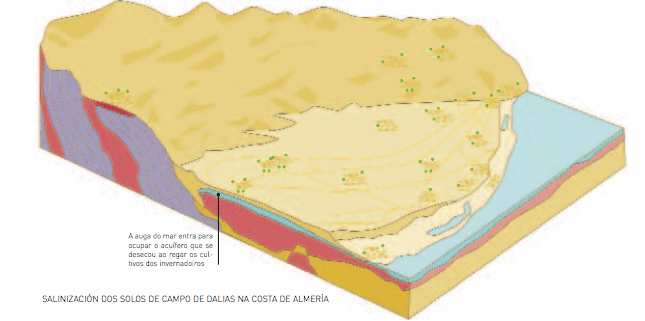Water Salinization